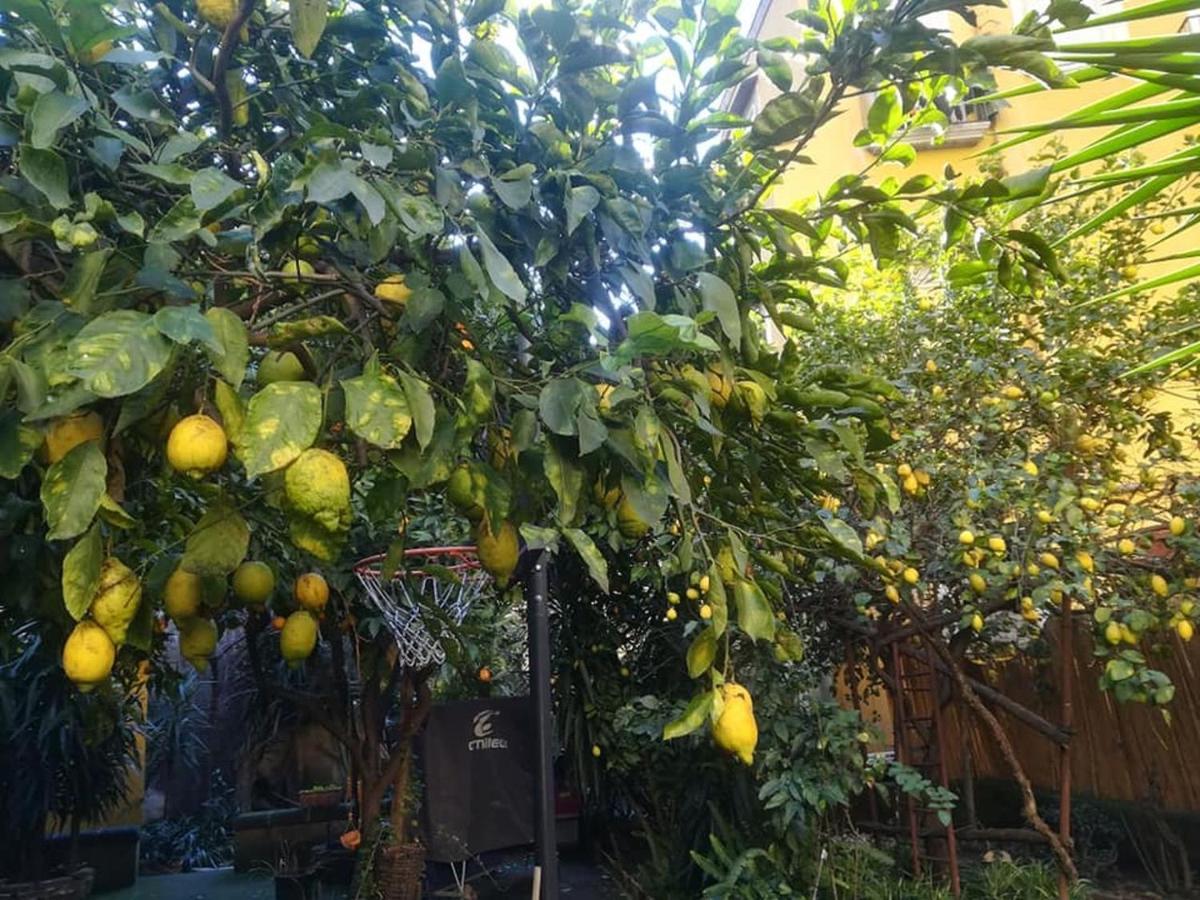 Apartament La Limonaia Di Chiaia Neapol Zewnętrze zdjęcie