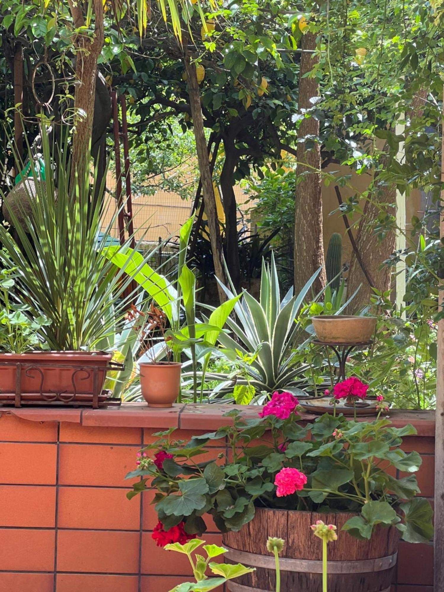Apartament La Limonaia Di Chiaia Neapol Zewnętrze zdjęcie
